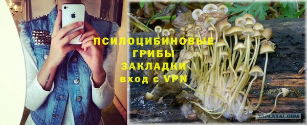 соль ск Елизово