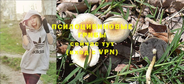альфа пвп Ельня